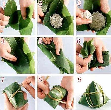 粽子怎么包?粽子煮多久才會(huì)熟?粽子葉是用什么葉子?