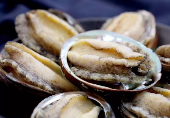 鮑魚發(fā)霉點了怎么處理?做鮑魚粥什么時間放鮑魚最好?