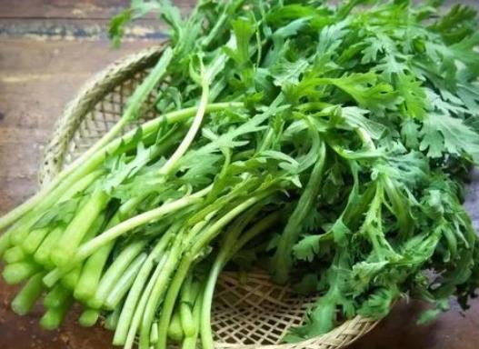 哪些人不適合吃茼蒿?茼蒿怎么炒好吃