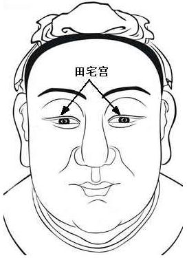 面相算命圖解:面相十二宮圖之田宅宮
