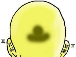 D⣺