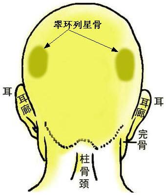 D⣺h(hun)ǹ