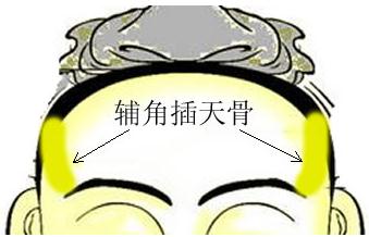 D⣺oǲ