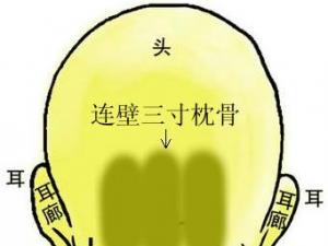 骨相圖解：連璧三寸枕骨