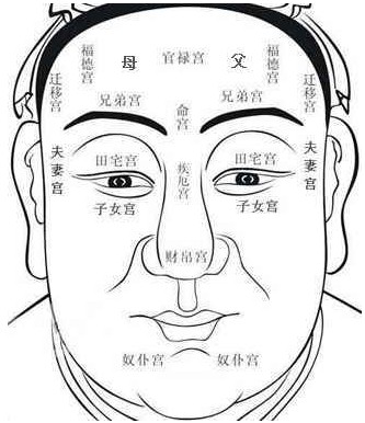 面相學(xué)中的面相十二宮的含義