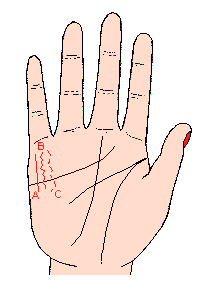 財(cái)運(yùn)線圖解:手相財(cái)運(yùn)線算命圖解1.gif