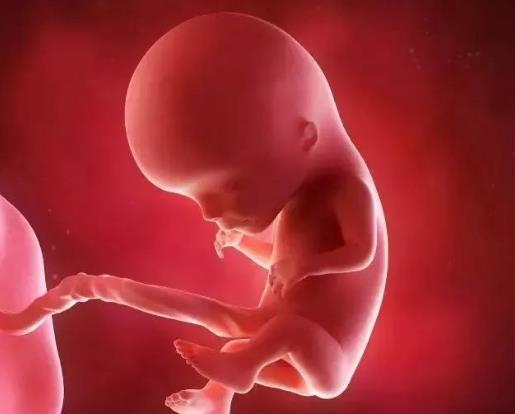 生男生女是在什么時(shí)間決定的?可以自己決定生男生女嗎?