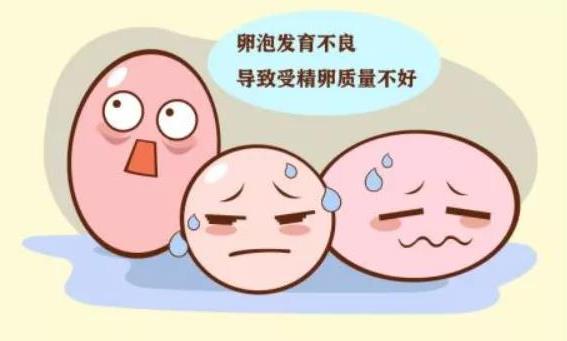 武漢仁愛醫(yī)院婦產(chǎn)科:檢查發(fā)現(xiàn)卵泡發(fā)育不良影響受孕怎么辦?這6種方法幫你解決