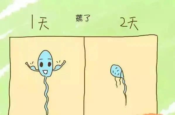 武漢仁愛醫(yī)院婦產(chǎn)科:巨現(xiàn)實(shí)!每8對(duì)夫妻就有1對(duì)不孕不育,懷孕居然憑運(yùn)氣?