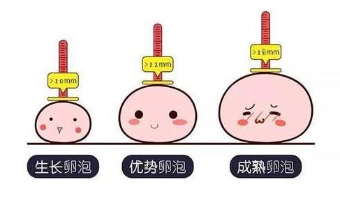 武漢仁愛醫(yī)院婦產(chǎn)科:檢查發(fā)現(xiàn)卵泡發(fā)育不良影響受孕怎么辦?這6種方法幫你解決