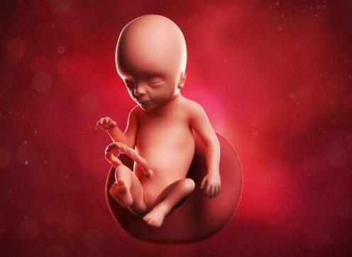 四維彩超和三維彩超有什么區(qū)別?思維彩超比三維彩超更好嗎?