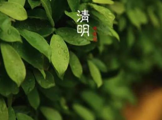 清明節(jié)應不應該回家掃墓?清明節(jié)哪天可以開始上墳