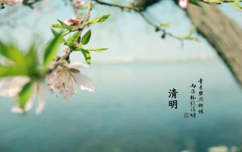 清明節(jié)送什么花去墓地比較好?清明節(jié)上墳花束一般包多少朵
