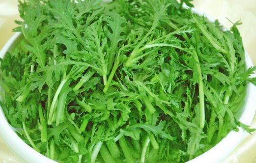 茼蒿的種植時間 茼蒿什么季節(jié)能種植