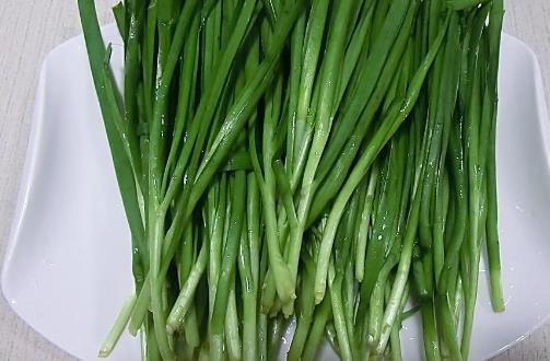 韭菜種植時間是什么時候?韭菜最佳種植時間