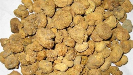 元胡種植時(shí)間是什么時(shí)候?元胡最佳種植時(shí)間