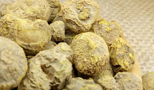 元胡種植時(shí)間是什么時(shí)候?元胡最佳種植時(shí)間