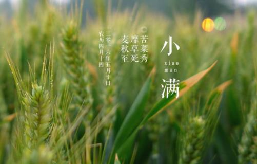 什么時(shí)候是小滿 小滿是什么時(shí)間?