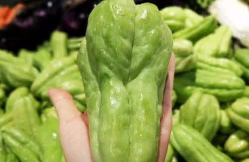 佛手瓜是什么季節(jié) 佛手瓜成熟季節(jié)