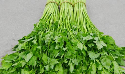 水芹菜什么季節(jié)有 水芹菜什么季節(jié)可以吃