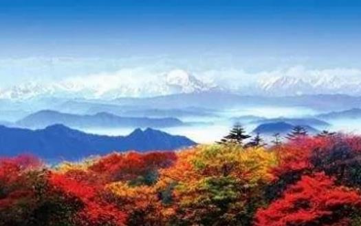 西嶺雪山彩林最佳觀賞期是什么時(shí)候 西嶺雪山紅葉最佳觀賞時(shí)間