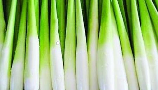 茭白是什么季節(jié)的 茭白成熟季節(jié)