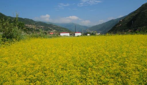 甘南什么時(shí)候去最好 甘南最佳旅游時(shí)間