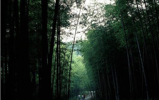 杭州什么時候去最好 杭州最佳旅游時間
