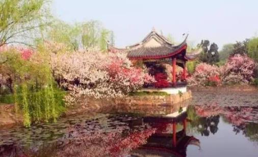 2018無錫蠡園桃花什么時(shí)候開 無錫蠡園桃花開花季節(jié)
