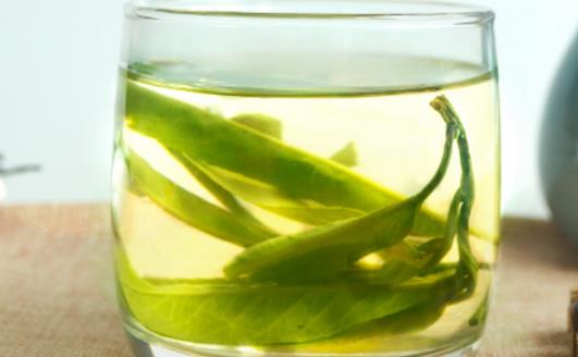 苦丁茶什么時(shí)候喝最好 喝苦丁茶最佳時(shí)間