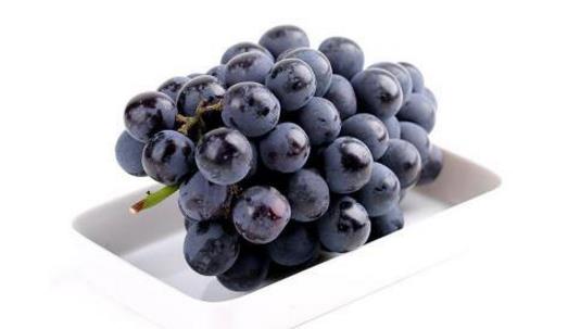 夏黑葡萄什么時候成熟 夏黑葡萄成熟季節(jié)