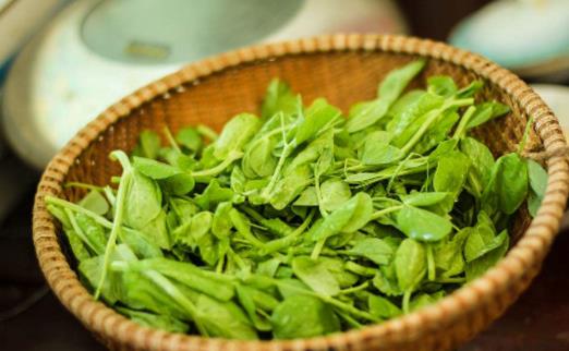 豌豆尖什么季節(jié)有 豌豆尖什么時(shí)候上市