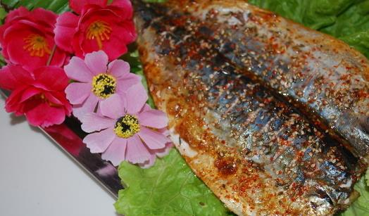 鲅魚什么時(shí)候上市 鲅魚上市時(shí)間