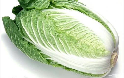 大白菜什么時(shí)候種最合適?大白菜最佳種植時(shí)間