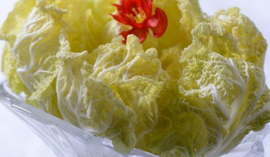 娃娃菜是什么季節(jié)的?娃娃菜什么時候種植