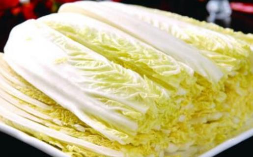 娃娃菜是什么季節(jié)的?娃娃菜什么時候種植