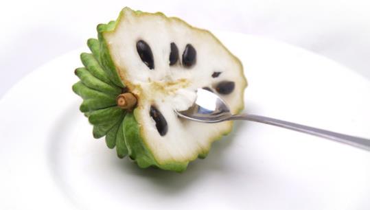 番荔枝什么時候成熟?番荔枝什么時候開花