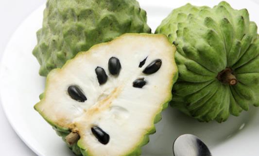 番荔枝什么時候成熟?番荔枝什么時候開花