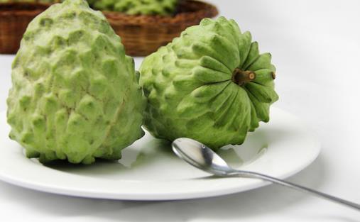 番荔枝什么時候成熟?番荔枝什么時候開花