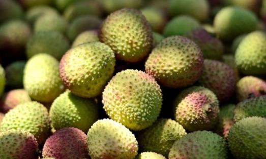 妃子笑荔枝什么時(shí)候上市?妃子笑荔枝什么時(shí)候成熟