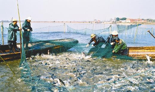 梁子湖大閘蟹什么時(shí)候上市?梁子湖大閘蟹幾月份有