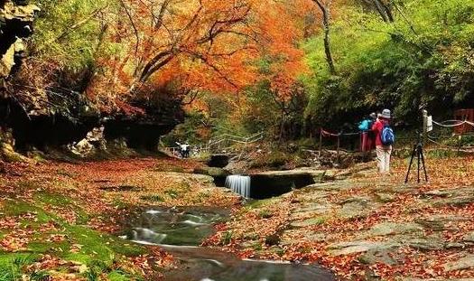 2018黎坪紅葉節(jié)什么時(shí)候開始 黎坪紅葉節(jié)開始時(shí)間