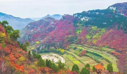 沂源鳳凰山紅葉節(jié)什么時(shí)候開(kāi)始 沂源鳳凰山紅葉節(jié)開(kāi)始時(shí)間