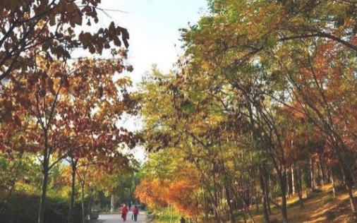 什么時候去石家莊旅游比較好 石家莊最佳旅游時間