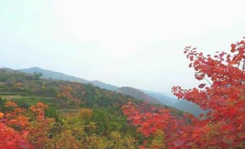 2018王屋山紅葉節(jié)什么時候舉辦 王屋山紅葉節(jié)時間