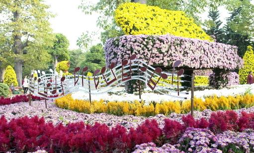 2018南京湖熟菊花展是什么時候 南京湖熟菊花展時間