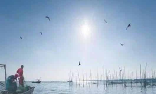2018高郵湖大閘蟹美食節(jié)什么時候舉辦 郵湖大閘蟹旅游美食節(jié)時間