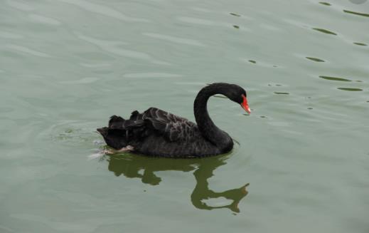 廣州動(dòng)物園開(kāi)放時(shí)間 廣州動(dòng)物園什么時(shí)候開(kāi)放
