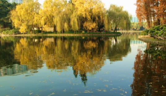流花湖公園開放時(shí)間 流花湖公園什么時(shí)候開放