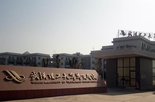 10、武漢理工大學(xué)華夏學(xué)院.jpg